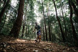 BIB: 
                            <button type="button" onclick="openModal(25261335)" class="btn btn-primary btn-sm float-right btn-popup" data-toggle="modal" data-target=".modal-high-quality">
                        <i class="fas fa-shopping-cart"></i> Add to Cart
                    </button>
                                            <button type="button" onclick="isThisMe(25261335, true)" class="btn btn-success btn-sm float-right btn-popup btn-isme hidden" data-toggle="tooltip" data-placement="bottom" title="นี่คือรูปของคุณใช่ไหม คลิกที่นี่เพื่อเอาเข้าอัลบั้ม">
                        <i class="fas fa-plus"></i> Add to album
                    </button>
                    <button type="button" onclick="isThisMe(25261335, false)" class="btn btn-warning btn-sm float-right btn-popup btn-isnotme hidden">
                        <i class="fas fa-ban"></i> Remove from album
                    </button>